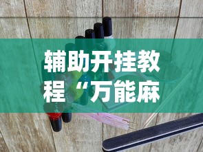辅助开挂教程“万能麻将游戏开挂器	”(透视挂)详细用法教程