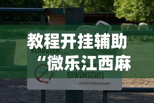 教程开挂辅助“微乐江西麻将怎样开挂	”(透视)开挂详细教程