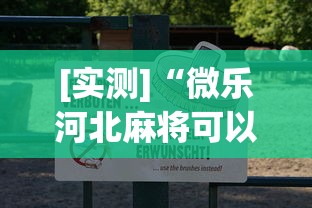 [实测]“微乐河北麻将可以装挂吗”(透视挂)辅助透视教程