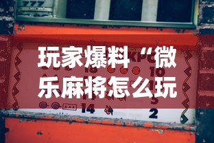 玩家爆料“微乐麻将怎么玩能赢”(透视)开挂详细教程