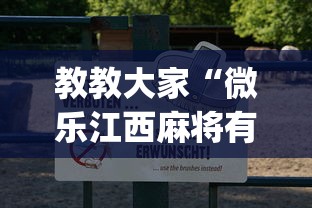 教教大家“微乐江西麻将有挂吗”(曝光透视必备猫腻)