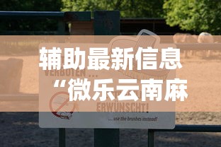 辅助最新信息“微乐云南麻将为什么一直输	”(透视)开挂详细教程