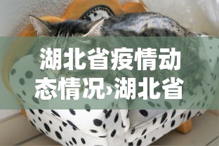 必看科普“阳泉胡乐麻将有挂吗	”开挂安装教程