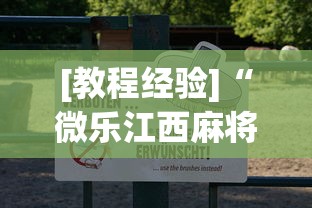[教程经验]“微乐江西麻将怎么赢”最新辅助详细教程
