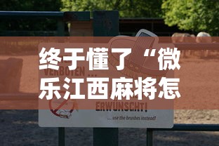 终于懂了“微乐江西麻将怎么赢”详细辅助教程分享