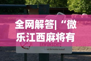 全网解答|“微乐江西麻将有挂吗	”附透视挂详细教程 