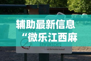 辅助最新信息“微乐江西麻将有挂吗”(原来确实是有挂)