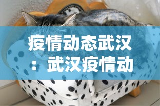 盼盼分享“微乐江西麻将有挂吗	”详细辅助软件教程