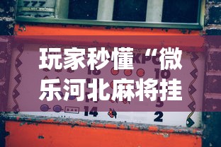 玩家秒懂“微乐河北麻将挂真的假的”(助赢详细开挂教程)