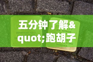 五分钟了解"跑胡子牌有什么技巧”开挂辅助详细步骤