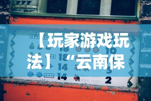 【玩家游戏玩法】“云南保山麻将怎么打才能赢”(透视挂)辅助透视教程