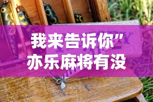 我来告诉你	”亦乐麻将有没有挂”详细分享装挂步骤