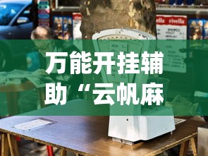 万能开挂辅助“云帆麻将有挂吗”开挂(透视)辅助教程